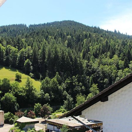 Ferienwohnung Schwarzwaldblick Bad Rippoldsau-Schapbach Esterno foto