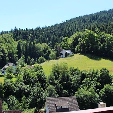 Ferienwohnung Schwarzwaldblick Bad Rippoldsau-Schapbach Esterno foto