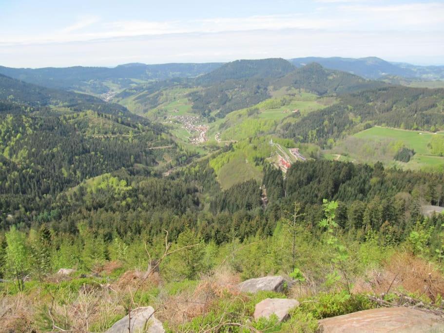 Ferienwohnung Schwarzwaldblick Bad Rippoldsau-Schapbach Esterno foto