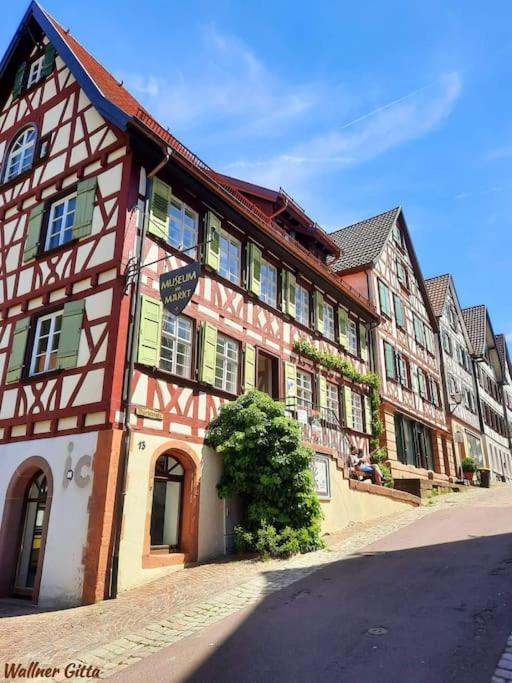 Ferienwohnung Schwarzwaldblick Bad Rippoldsau-Schapbach Esterno foto