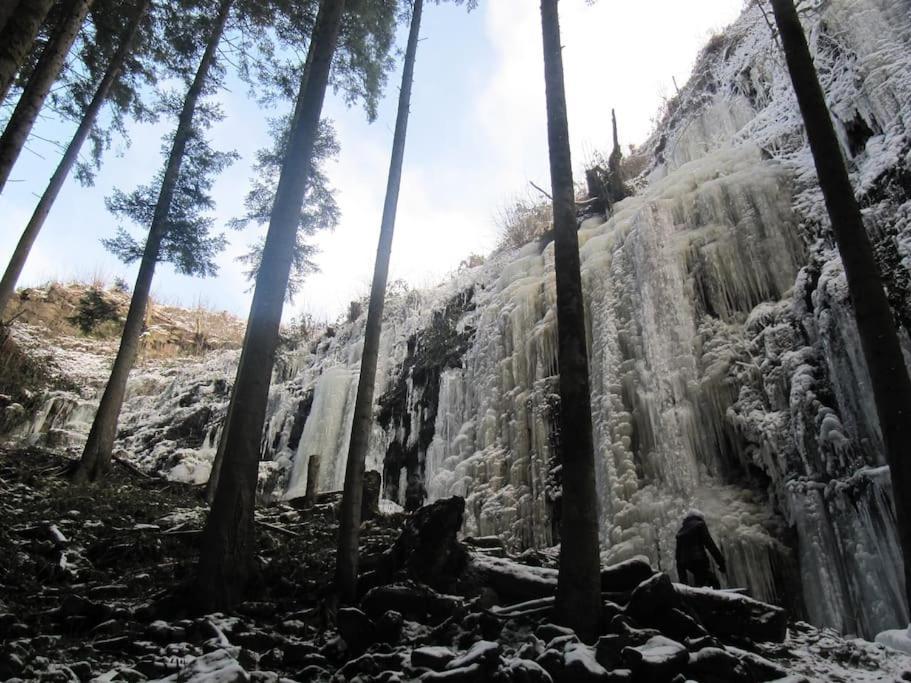 Ferienwohnung Schwarzwaldblick Bad Rippoldsau-Schapbach Esterno foto
