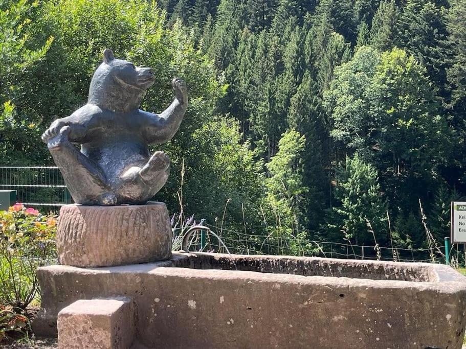 Ferienwohnung Schwarzwaldblick Bad Rippoldsau-Schapbach Esterno foto