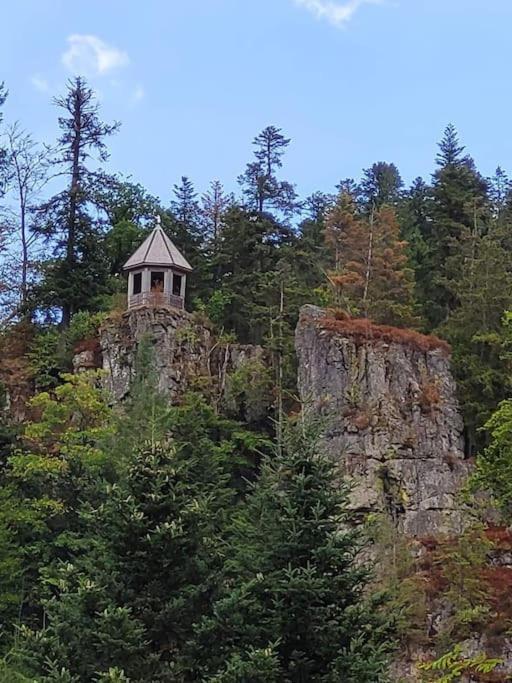 Ferienwohnung Schwarzwaldblick Bad Rippoldsau-Schapbach Esterno foto