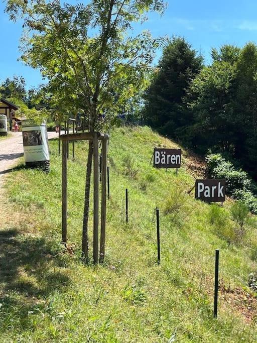 Ferienwohnung Schwarzwaldblick Bad Rippoldsau-Schapbach Esterno foto