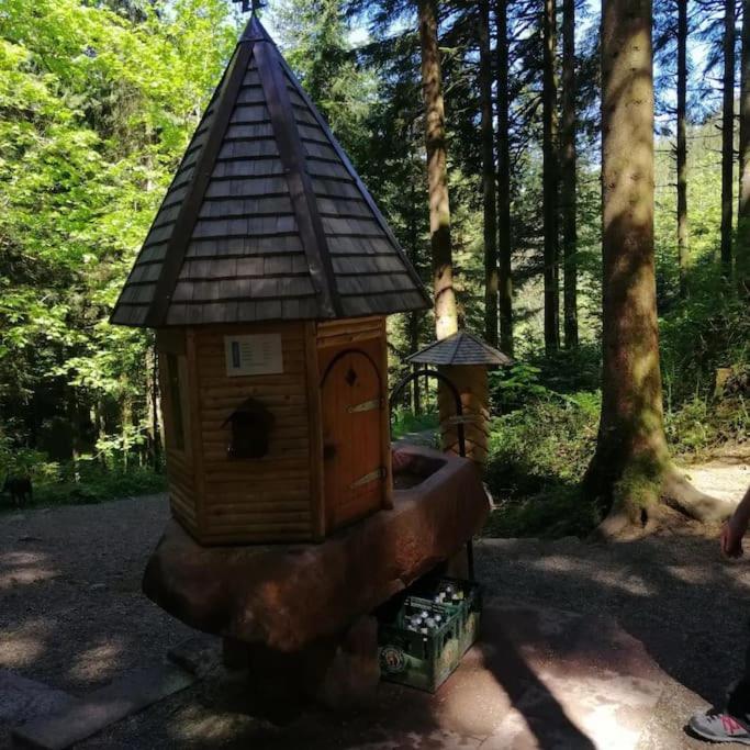 Ferienwohnung Schwarzwaldblick Bad Rippoldsau-Schapbach Esterno foto