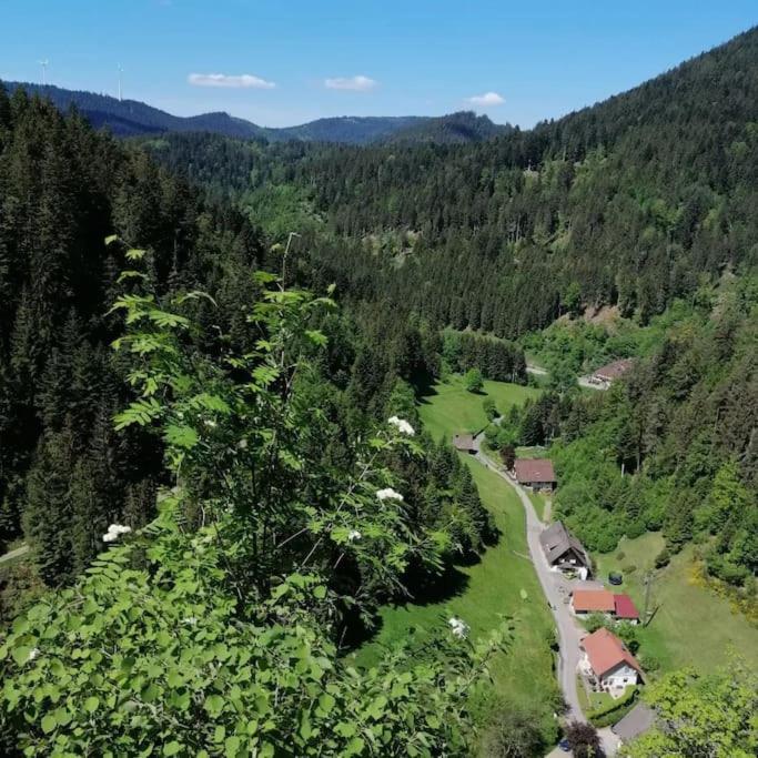 Ferienwohnung Schwarzwaldblick Bad Rippoldsau-Schapbach Esterno foto