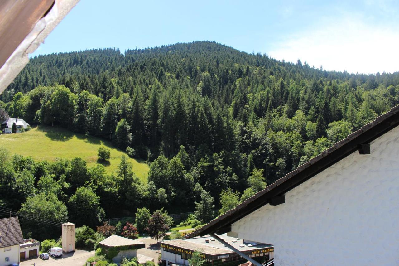 Ferienwohnung Schwarzwaldblick Bad Rippoldsau-Schapbach Esterno foto